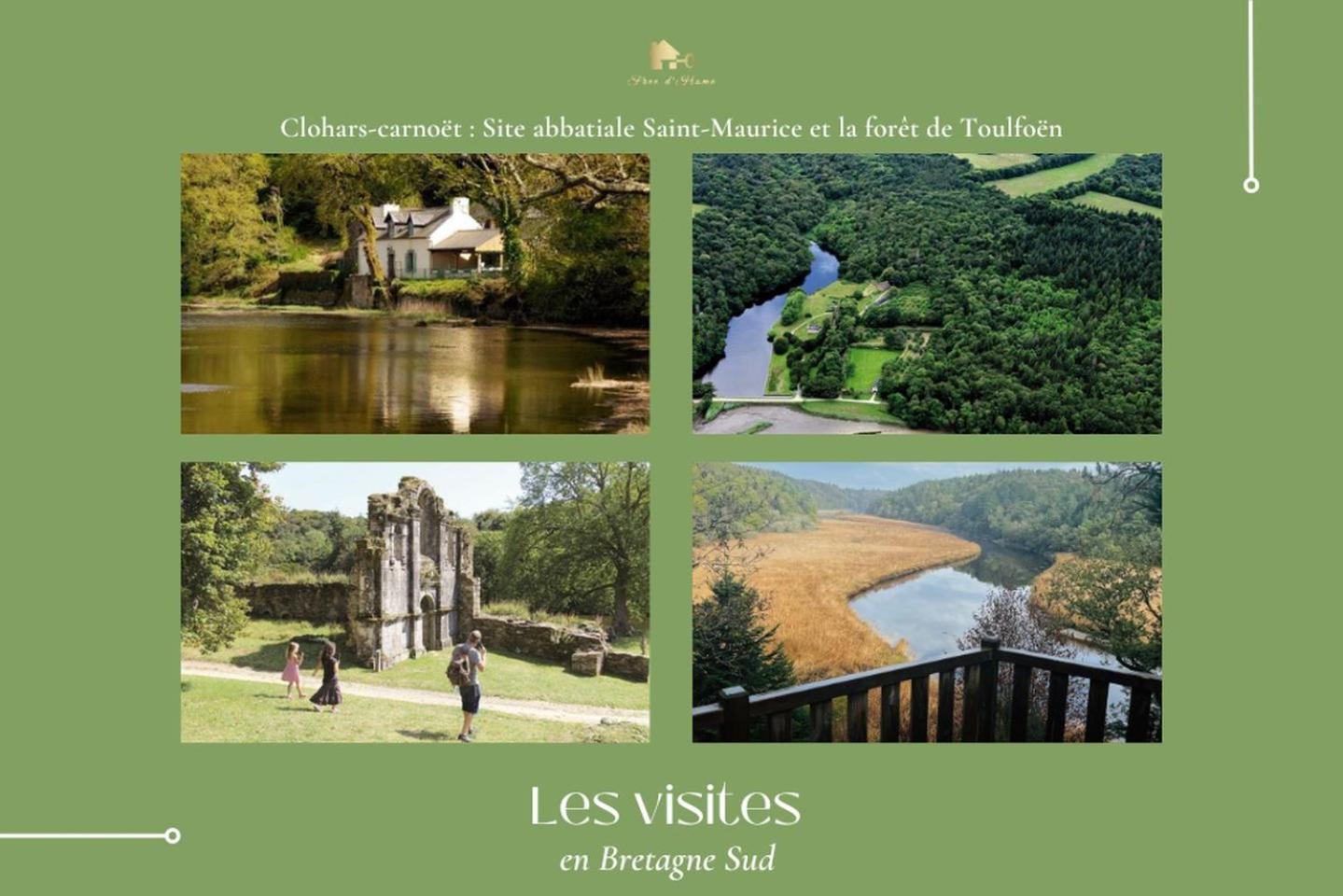 La Maison Bleue,Authenticite, Nature, Simplicite, 2-5 Personnes, Moelan Sur Mer 외부 사진